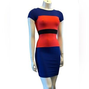 French Connection Vibrant Colorblock Mini Dress